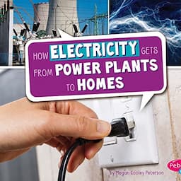 How Electricity Gets from Power Plants to Homes