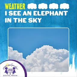 I See an Elephant in the Sky