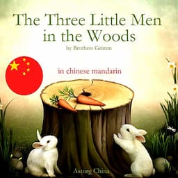 The Three Little Men in the Woods - 森林里的三个小矮人