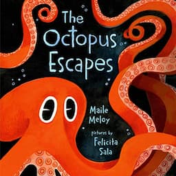 The Octopus Escapes