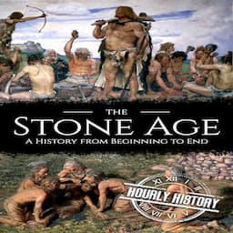 The Stone Age