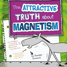 The Attractive Truth About Magnetism