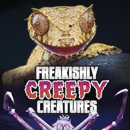 Freakishly Creepy Creatures