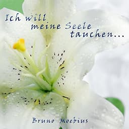 Ich will meine Seele tauchen...