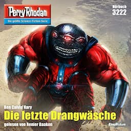 Die letzte Drangw&auml;sche