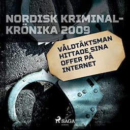 V&aring;ldt&auml;ktsman hittade sina offer p&aring; internet