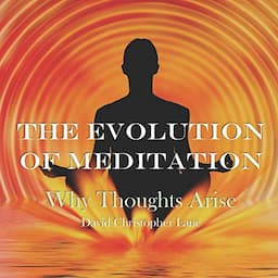 The Evolution of Meditation