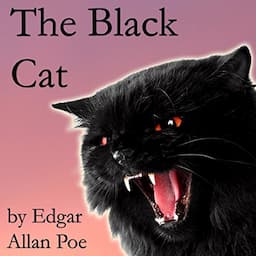 The Black Cat