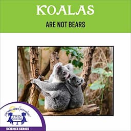 Koalas Are Not Bears