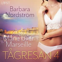 T&aring;gresan 4 - M&aring;ne &ouml;ver Marseille