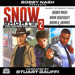 Snow Shorts, Vol. 2