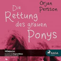 Die Rettung des grauen Ponys