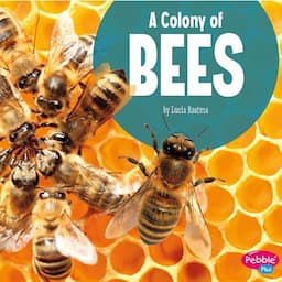 A Colony of Bees