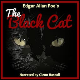 The Black Cat