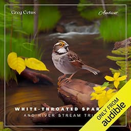 White-throated Sparrow and River Stream Trickle