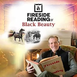 Fireside Reading of Black Beauty