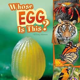 Whose Egg Is This?