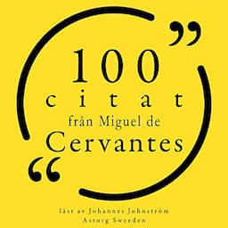 100 citat fr&aring;n Miguel de Cervantes