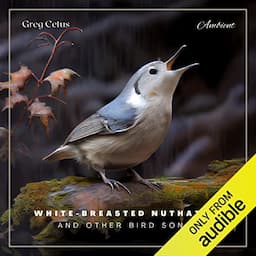 White-Breasted Nuthatch and Other Bird Songs