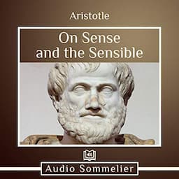 On Sense and the Sensible