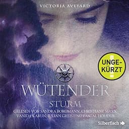 W&uuml;tender Sturm