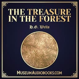 The Treasure in the Forest