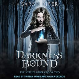 Darkness Bound: A Reverse Harem Paranormal Romance