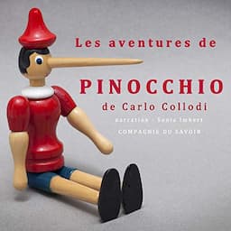 Les aventures de Pinocchio