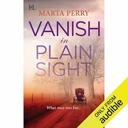 Vanish in Plain Sight