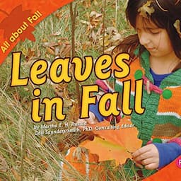 Leaves in Fall