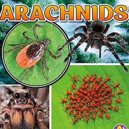 Arachnids