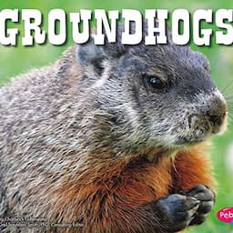 Groundhogs