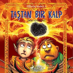 Taştan Bir Kalp