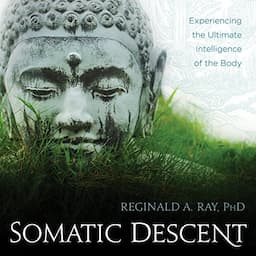 Somatic Descent