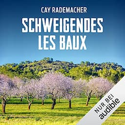 Schweigendes Les Baux. Ein Provence-Krimi