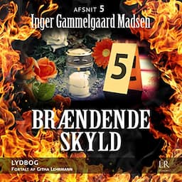 Br&aelig;ndende skyld 5