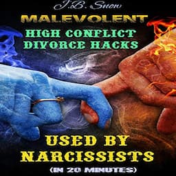 Malevolent High Conflict Divorce Hacks Used by Narcissists: In 20 Minutes