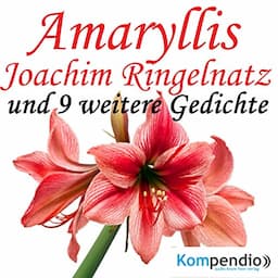 Amaryllis