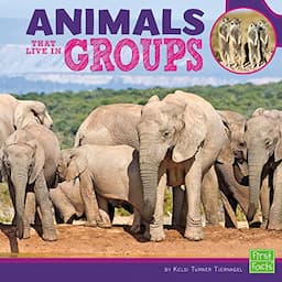 Animals that Live in Groups