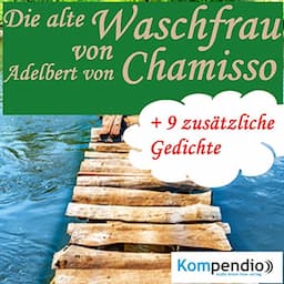 Die alte Waschfrau