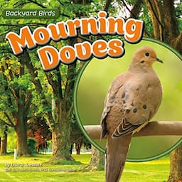 Mourning Doves