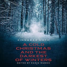 A Cold Christmas and the Darkest of Winters