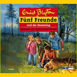 F&uuml;nf Freunde und der Hexenring