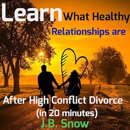 Learn What Healthy Relationships Are After High Conflict Divorce (in 20 Minutes)