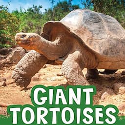 Giant Tortoises