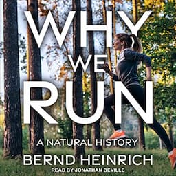 Why We Run