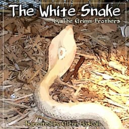 The White Snake