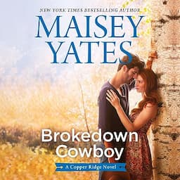 Brokedown Cowboy