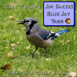 Jim Baker's Blue-Jay Yarn