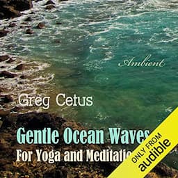 Gentle Ocean Waves